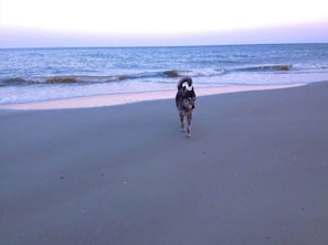 Beach nearby