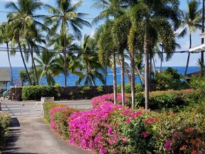 Property grounds - FABULOUS BEACH HOUSE, OCEAN FRONT VIEW, BEST LOCATION, WALK TO BEACH, RELAXING!. (Kailua-Kona)