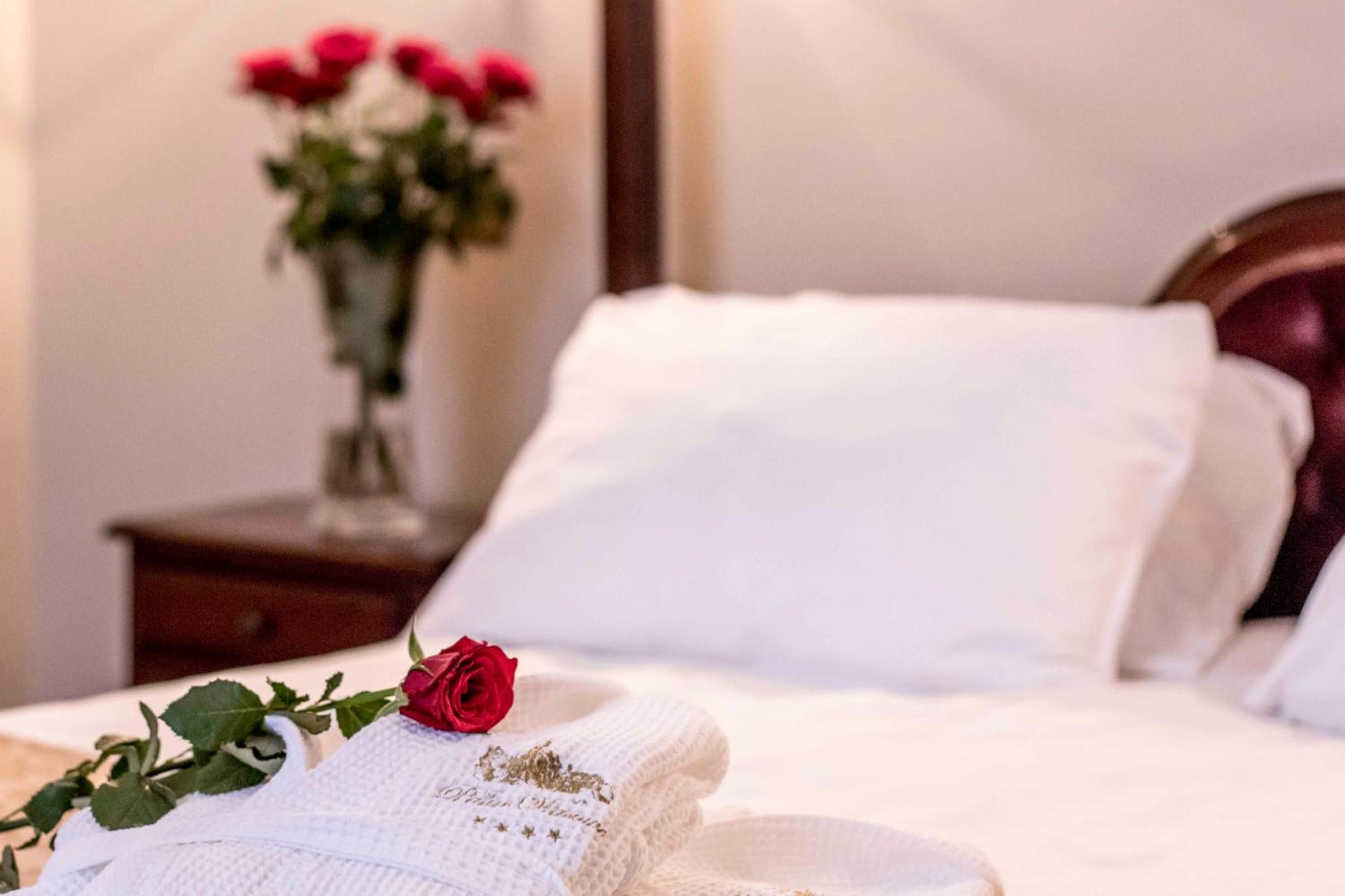 A neatly made bed with white linens and a single red rose on a pillow.