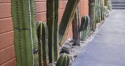 Hotel Casa Santo Tomás