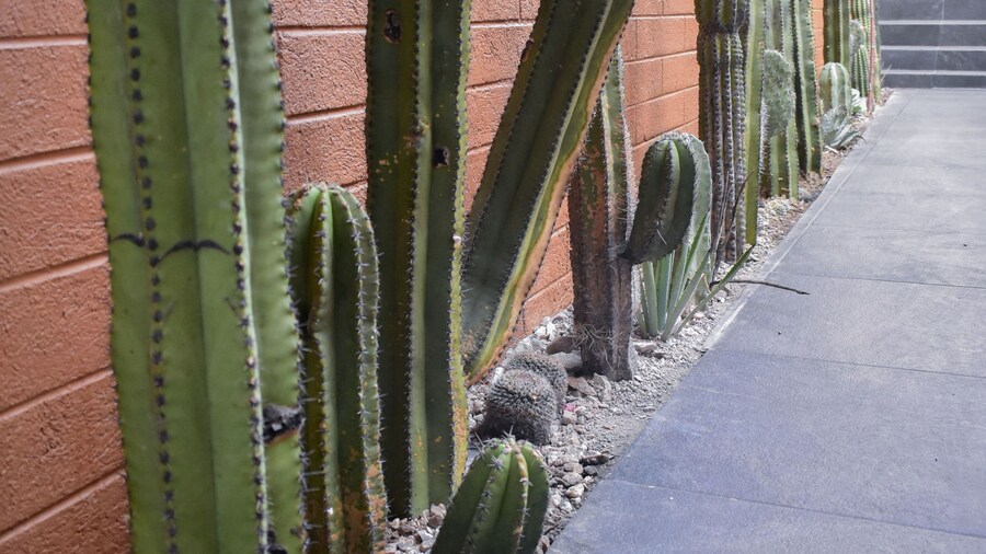 Hotel Casa Santo TomĂĄs