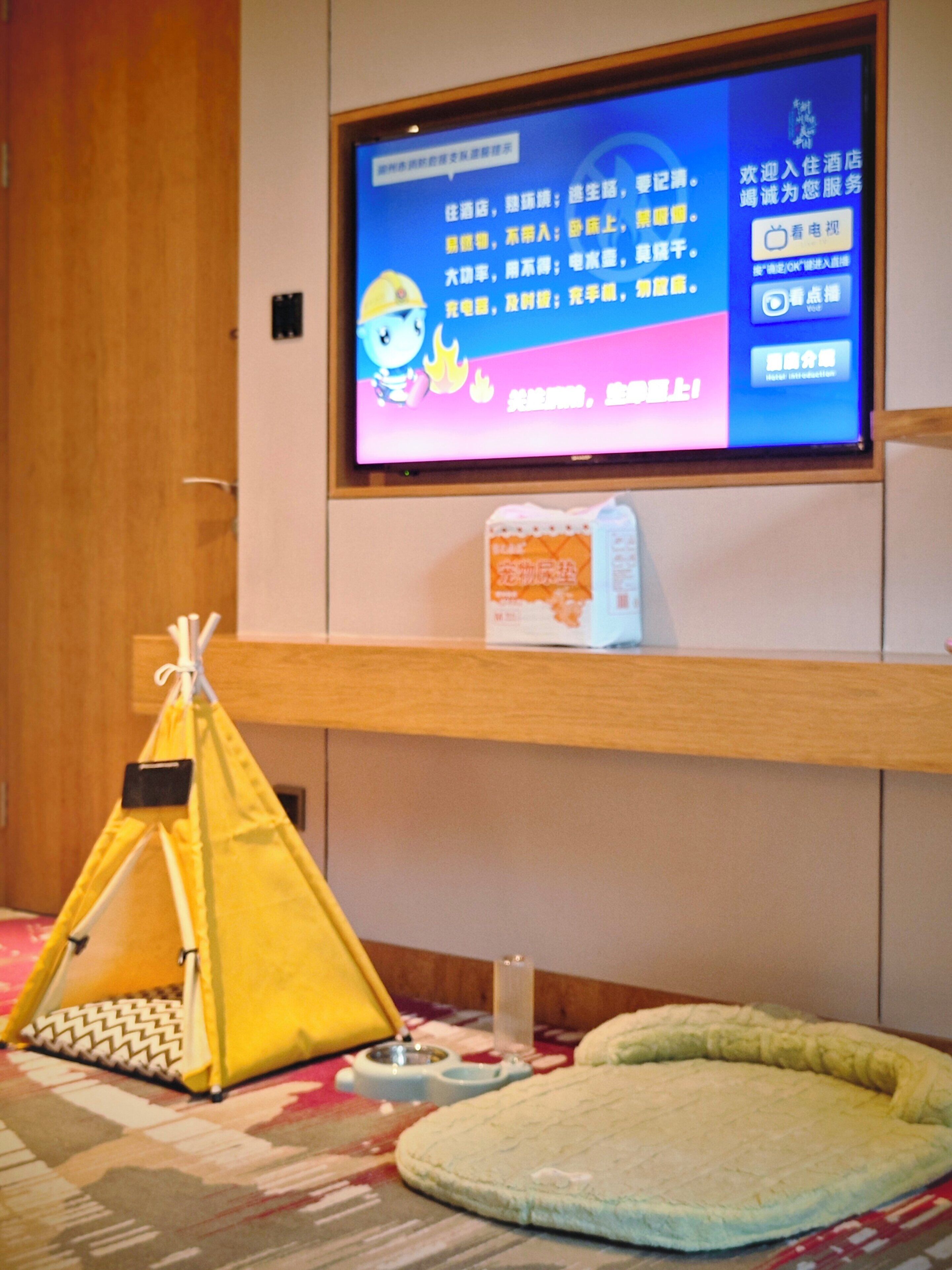 Una habitación con un televisor montado en la pared mostrando una pantalla con texto y gráficos. En el suelo, hay una estructura tipo tienda de campaña amarilla, un cojín verde y una mesita con una botella y una taza.