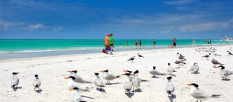 Lido Breeze - 1/2 kvartal fra stranden - privat basseng