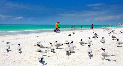 Lido Breeze - 1/2 Block From Beach - Private Pool