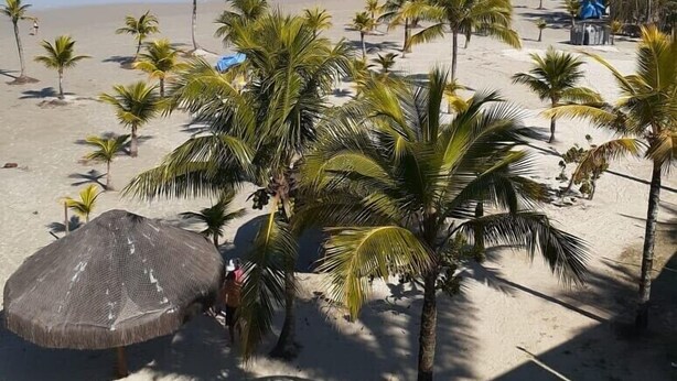 Een strand met palmbomen, een rieten zonnescherm en een gebouwtje op de achtergrond.