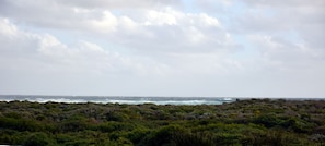 Paesaggio costiero con fitta vegetazione e vista sull'oceano.