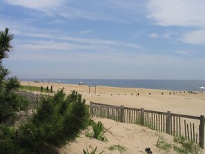 Playa en los alrededores y camastros 