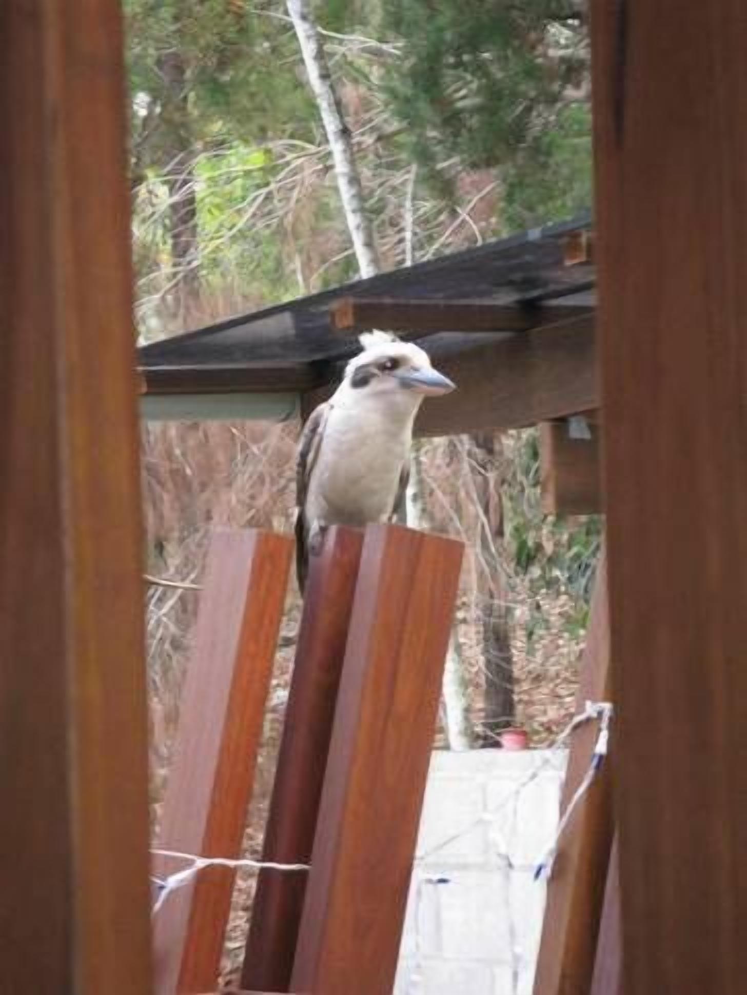 The Shack Noosa Heads — image 4