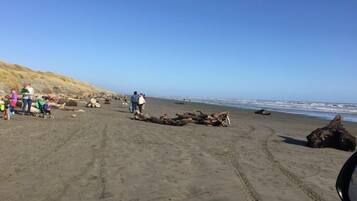 Playa en los alrededores