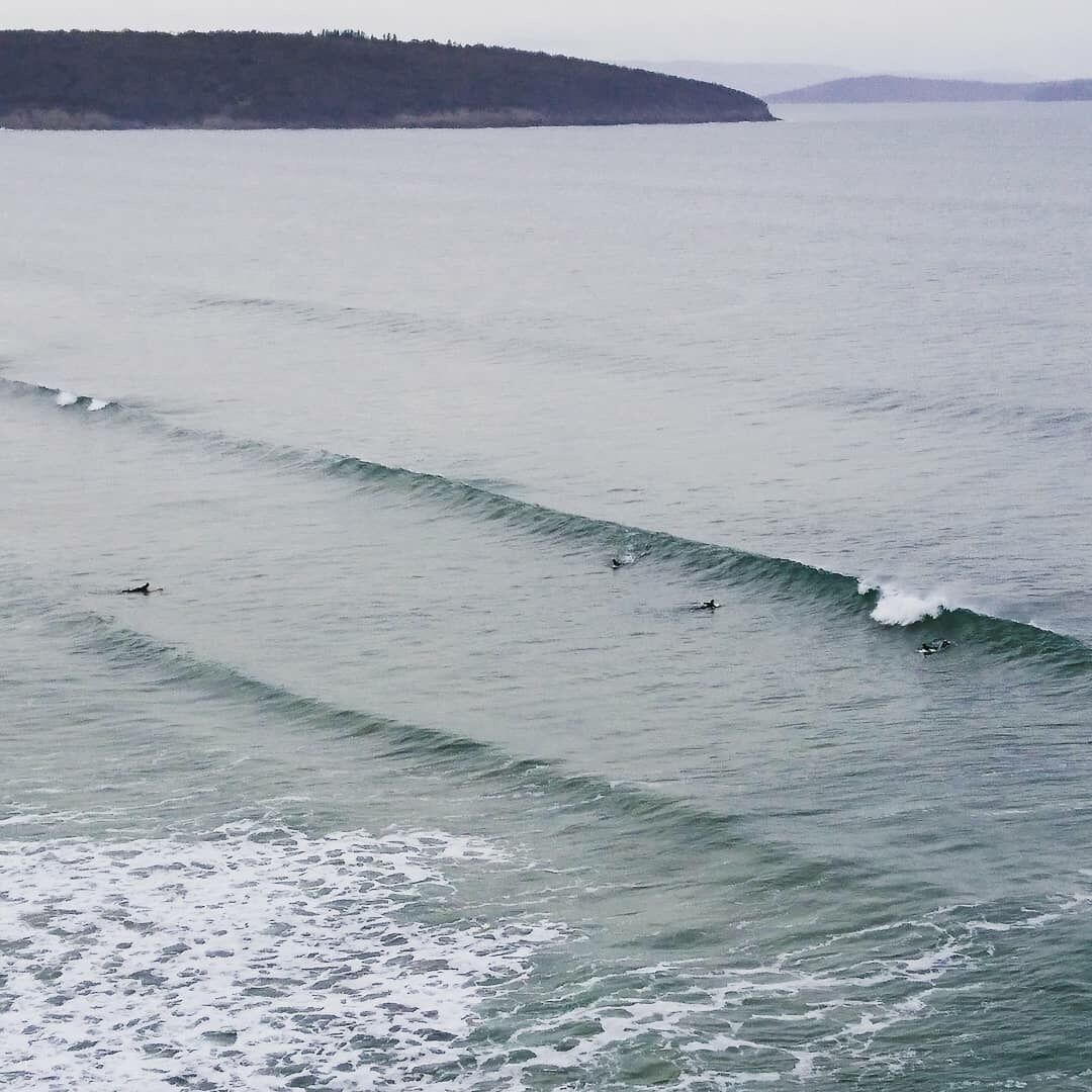 Carlton Beach Holiday House — image 29