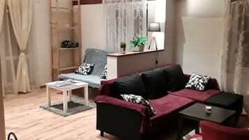 TV, fireplace, books