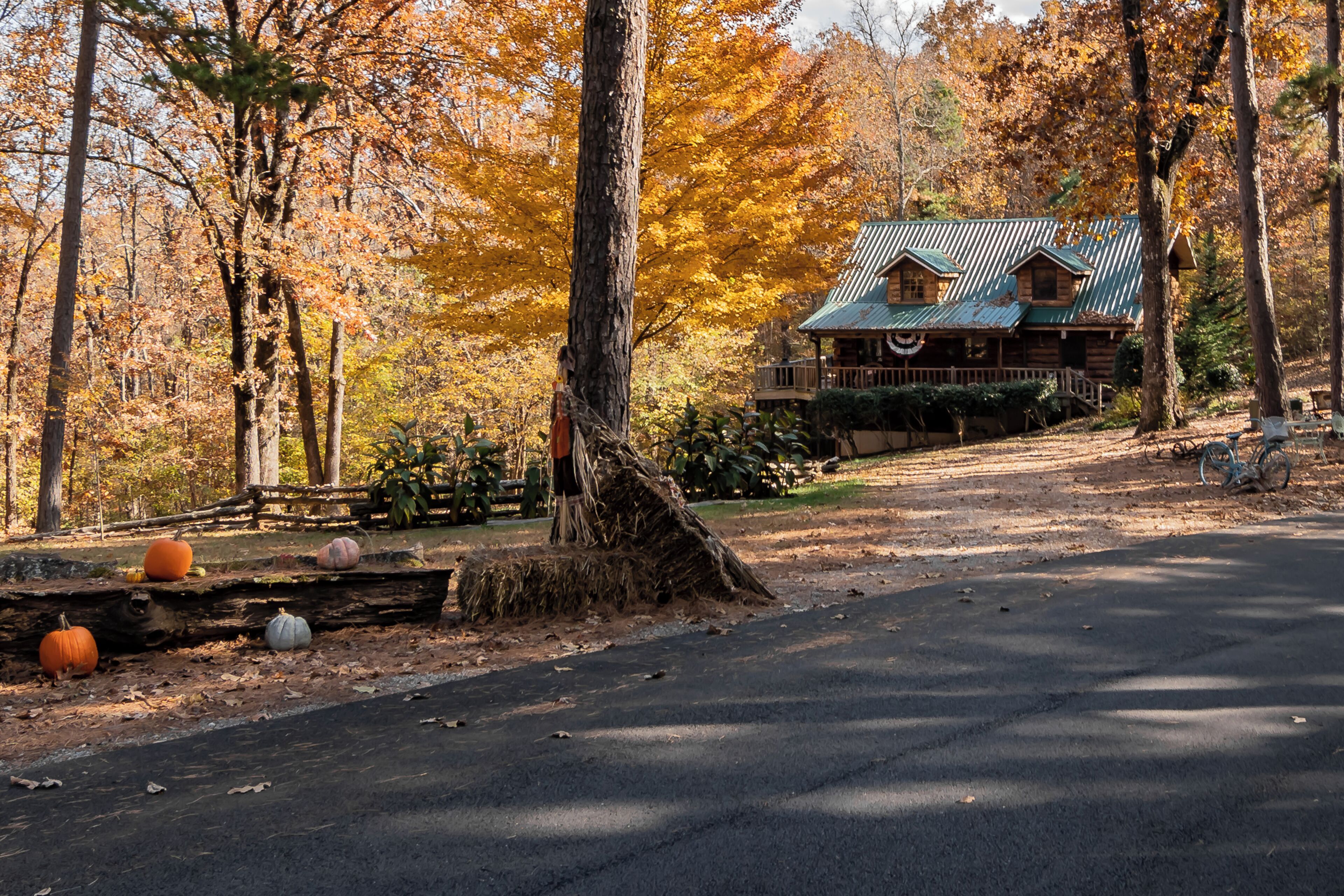 A rustic cabin with a metal roof, surrounded by autumn foliage and a dirt path leading to it.