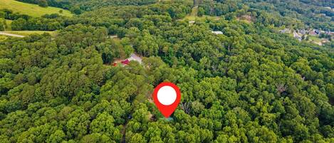 Vista aérea de una zona boscosa con un marcador rojo que indica una ubicación.