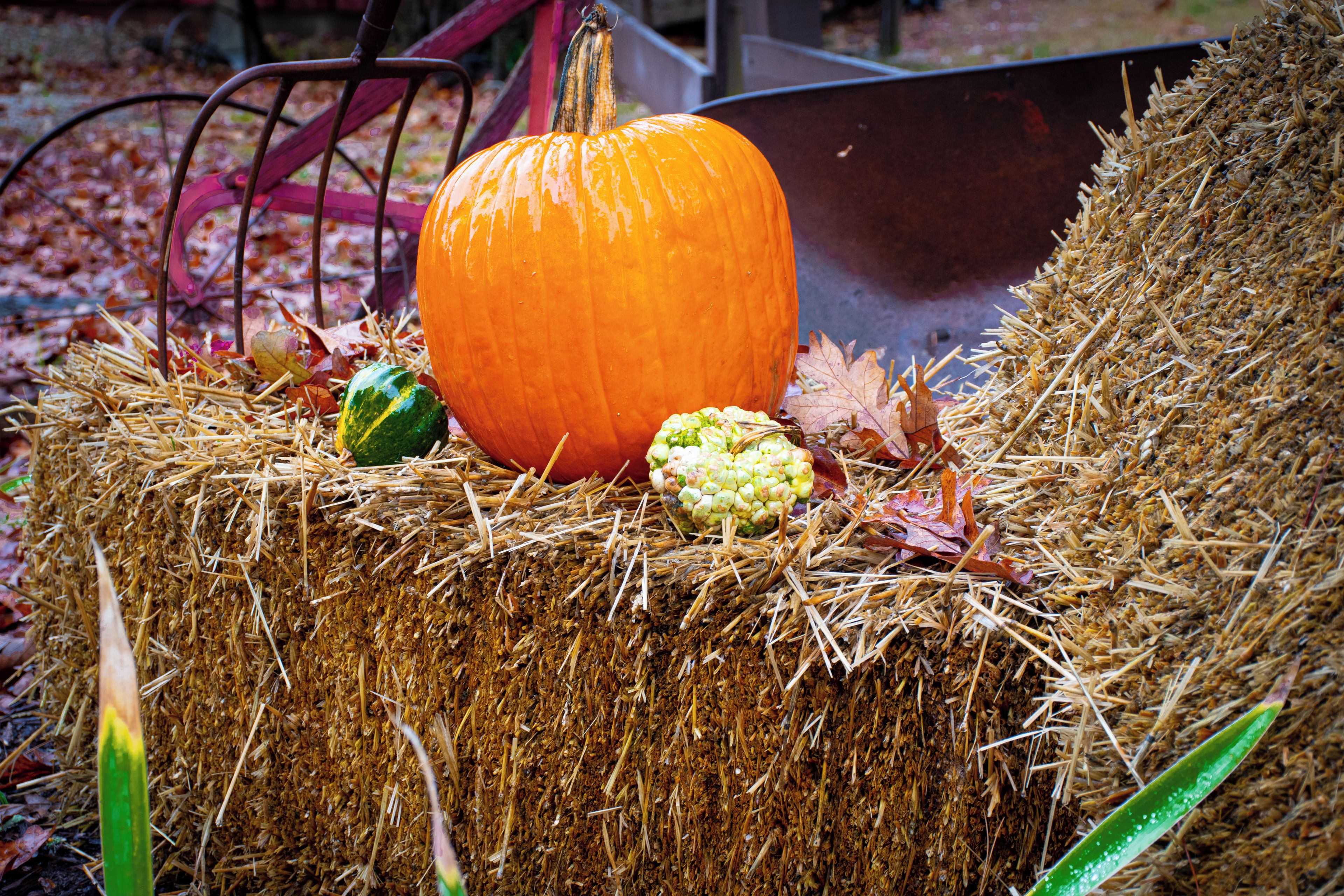 A hay bale with a pumpkin, a gourd, and a metal bowl.