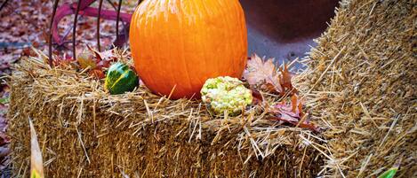 A hay bale with a pumpkin, a gourd, and a metal bowl.