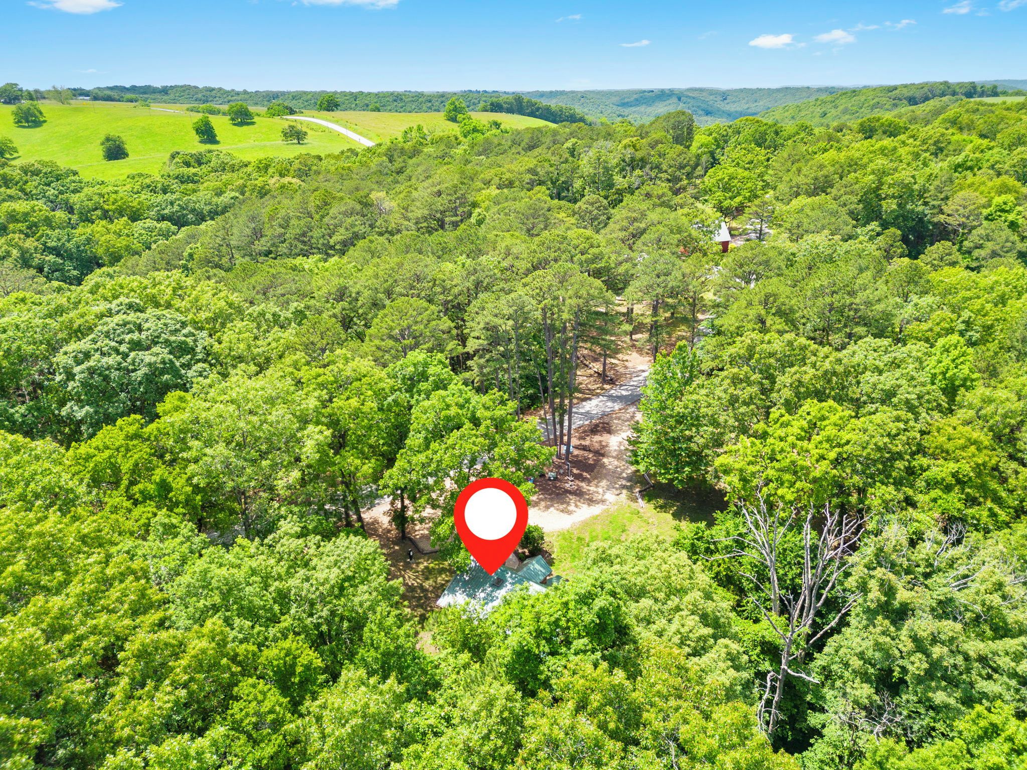 Área arborizada com um marcador vermelho indicando um local específico.