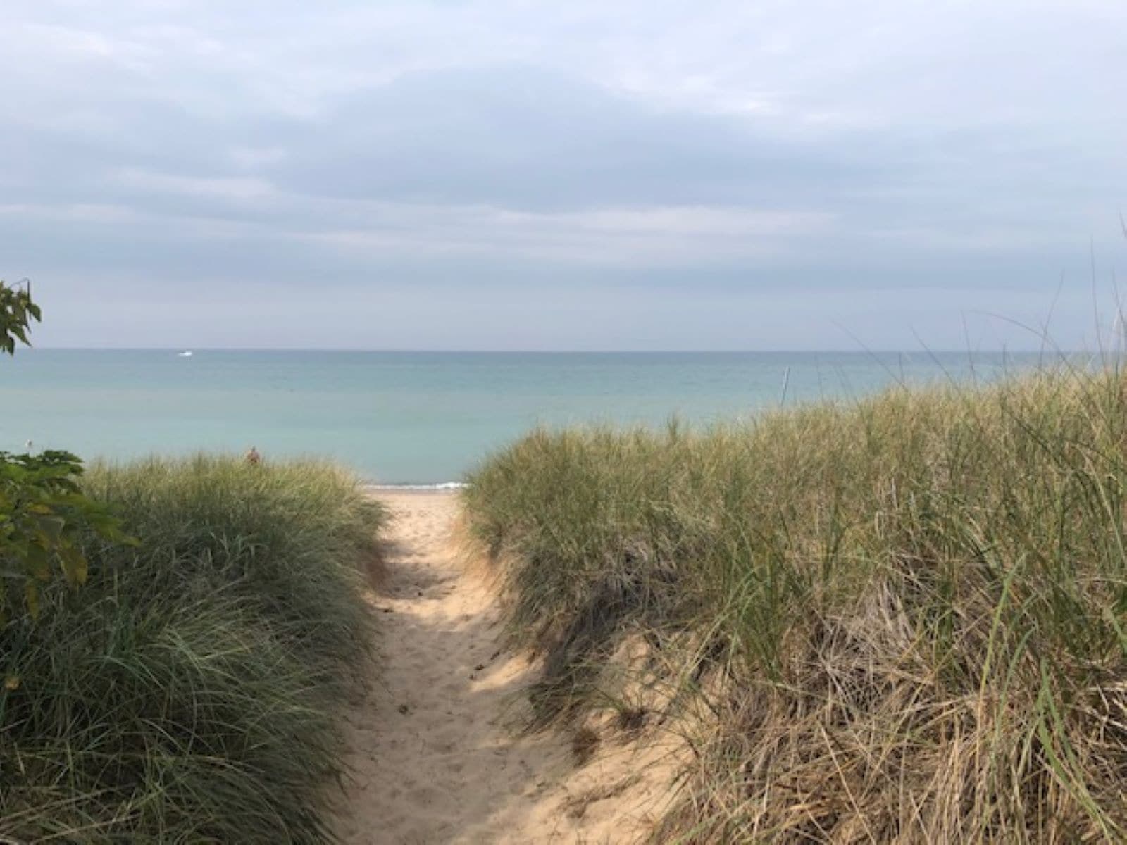 Union Pier Across the street from the beach<br>