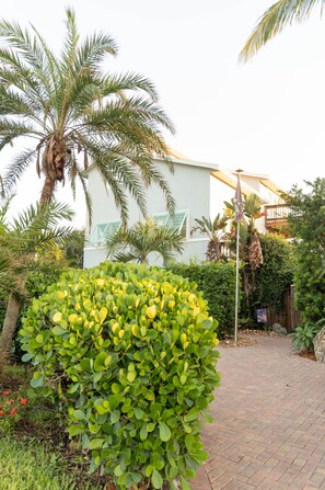 Overnattingsstedets uteområder