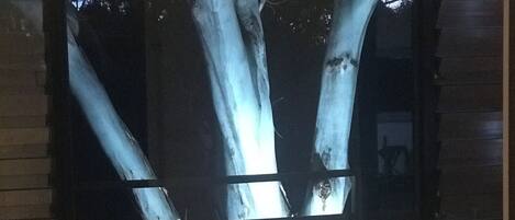 Badewanne, Whirlpool, Haartrockner, Handtücher