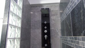 Combined shower/tub, hair dryer, towels, toilet paper