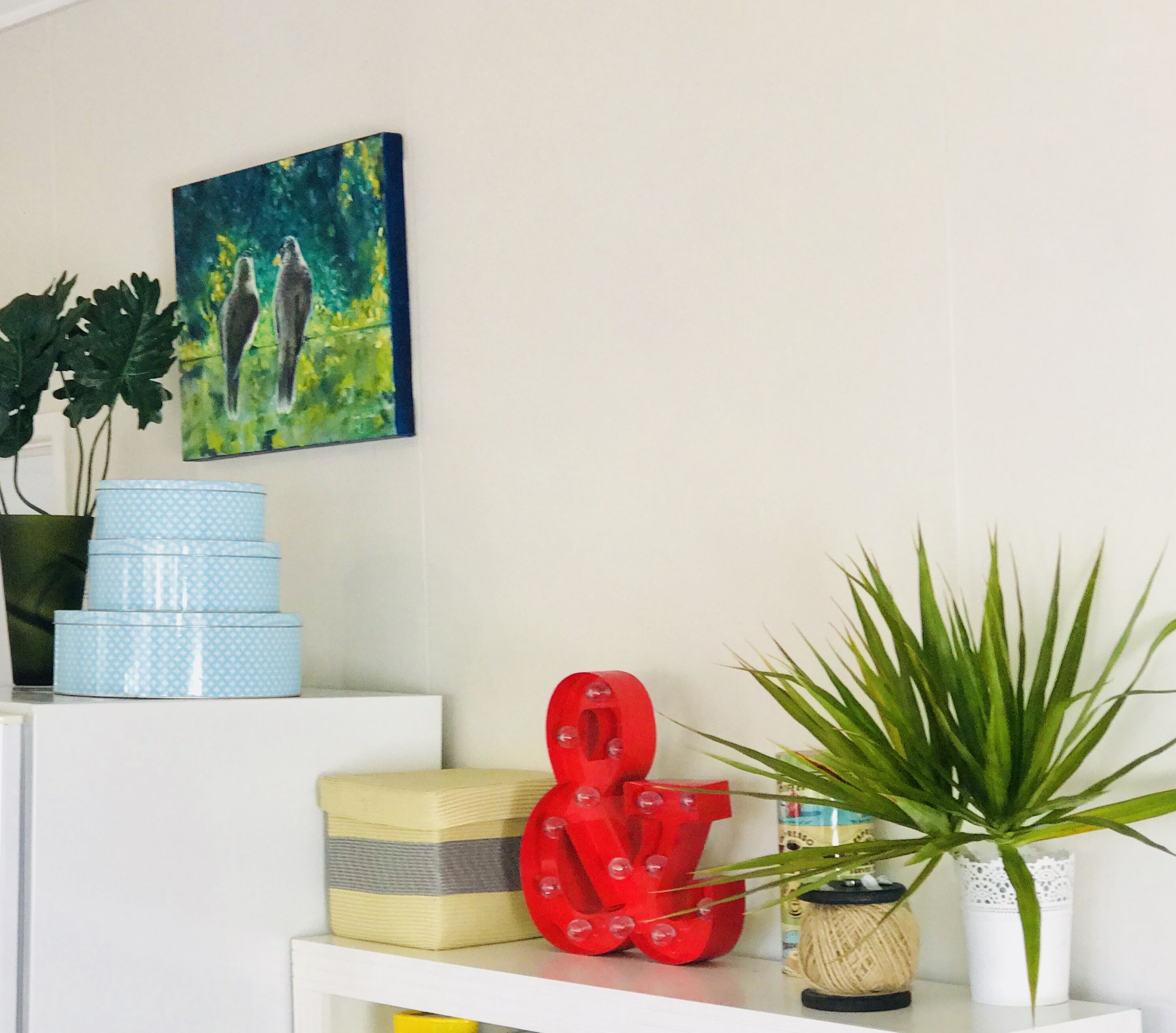 Surfers Beach style Cottage Pet Friendly — image 17