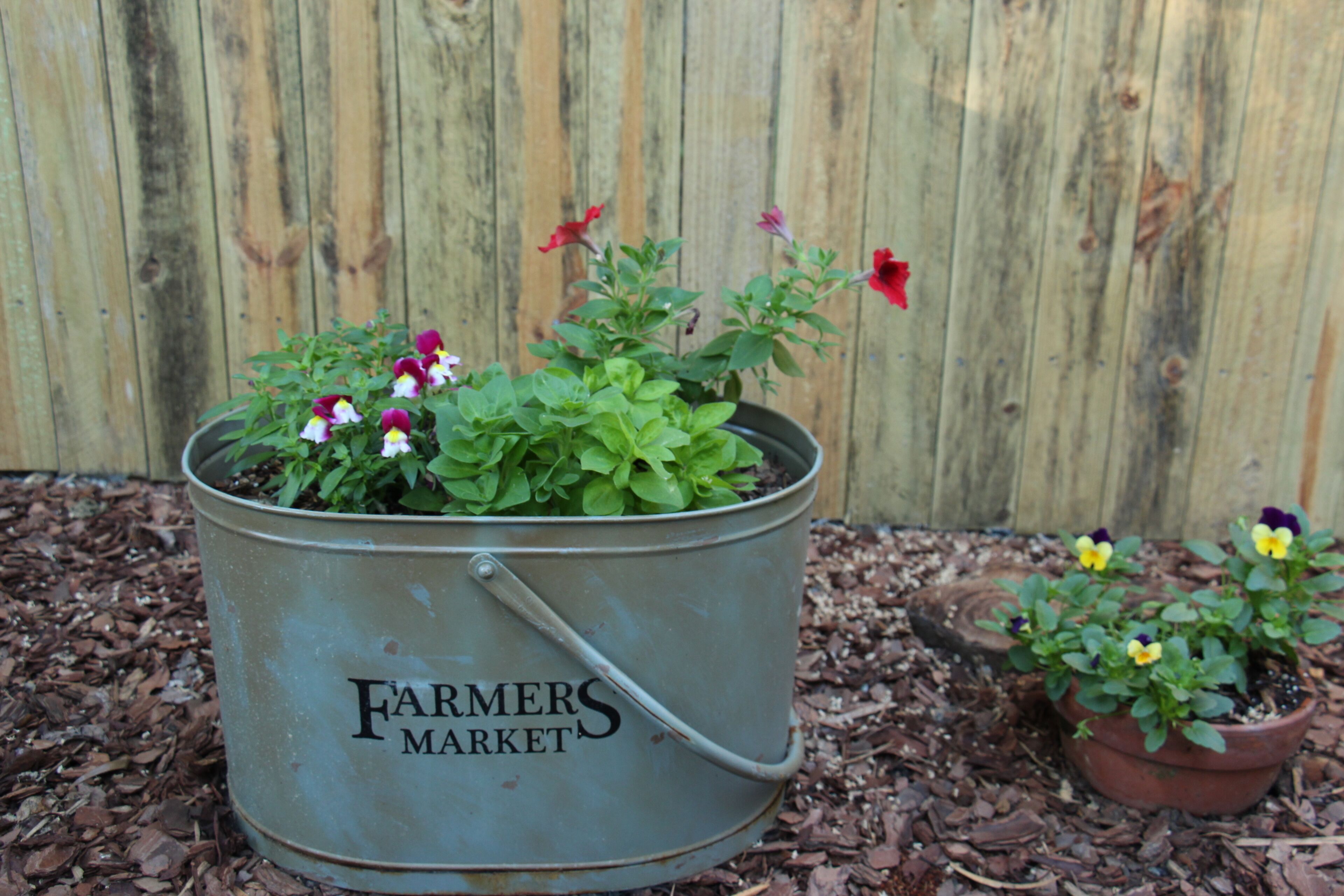 Surfers Beach style Cottage Pet Friendly — image 30