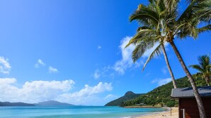 A beach with a wooden structure, palm trees, and a clear blue sky.