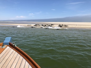 Plage à proximité, chaises longues