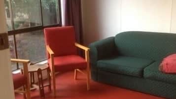 Smart-TV, DVD-Player, Bücher, Videothek