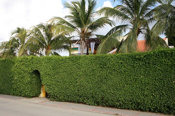 Área da propriedade