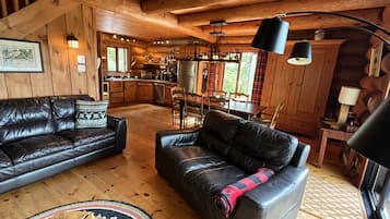 TV connectée, cheminée, lecteur de DVD, livres