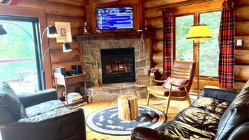 TV connectée, cheminée, lecteur de DVD, livres