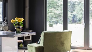 A modern living room with a green armchair, a glass coffee table, and a vase with yellow flowers. - WATERSHED Robertson - a chic shed conversion (Robertson)