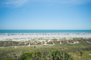 A beach with a sandy shore, a wooden fence, and sparse vegetation.