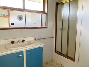 Combined shower/bathtub