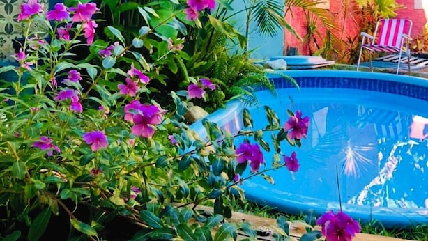 A pool surrounded by lush greenery and vibrant flowers.