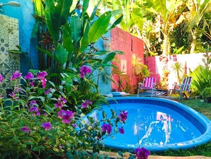 Una piscina circondata da vegetazione lussureggiante e sedie dai colori vivaci.
