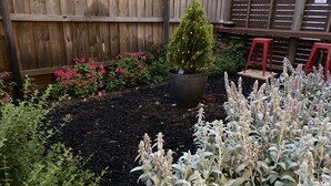 A garden with a wooden fence, a potted plant, and various shrubs. - Little Vella, 2 Bedroom 1 bathroom. Secure parking. Free WIFI. Immaculate clean (Ascot Vale)