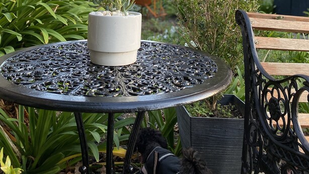 A round metal table with a potted plant, surrounded by greenery and a wooden bench. - Little Vella, 2 Bedroom 1 bathroom. Secure parking. Free WIFI. Immaculate clean (Ascot Vale)