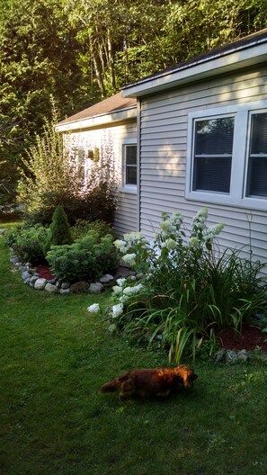 Property grounds - Peaceful Cottage Retreat (cambridge)