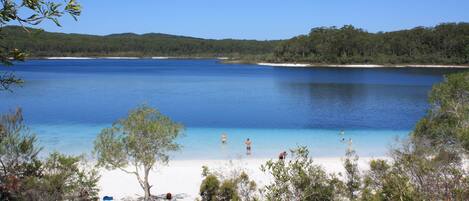 Beach nearby, sun loungers