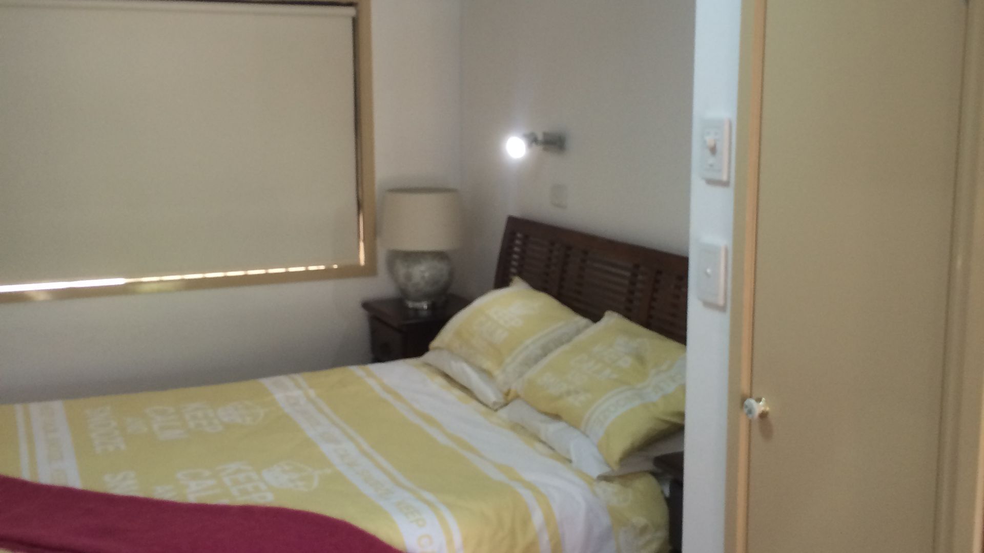 pet friendly water front 1 x bed apartment — image 10