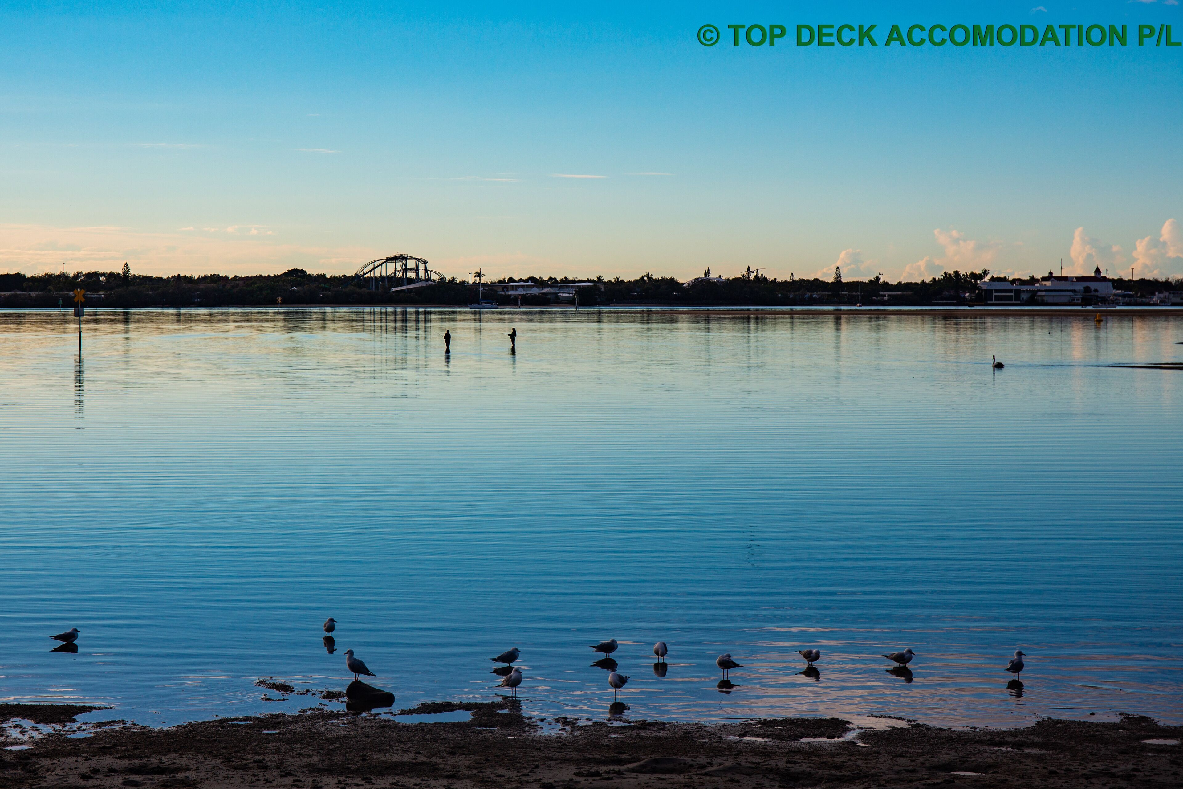 pet friendly water front 1 x bed apartment — image 5