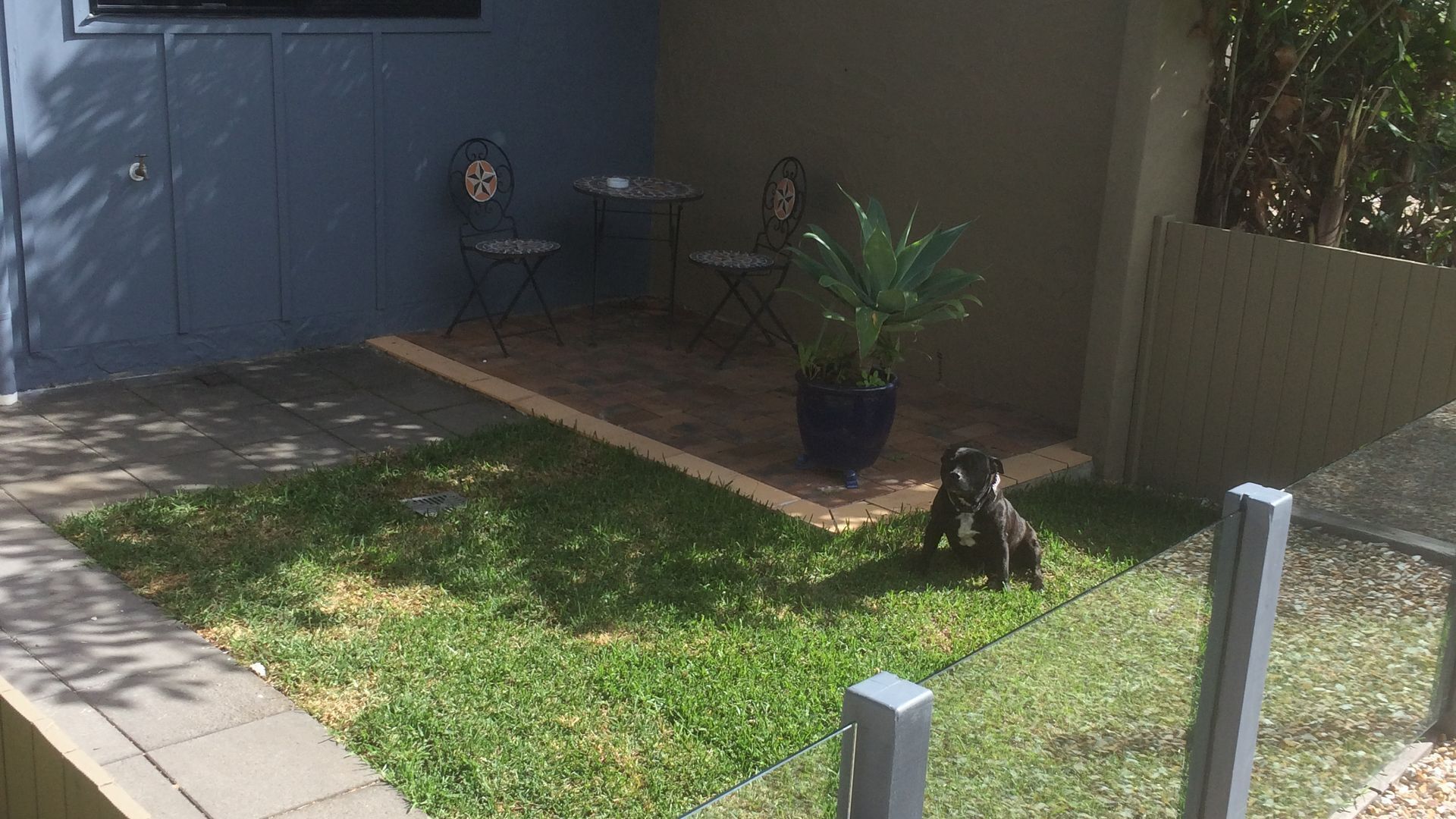 pet friendly water front 1 x bed apartment — image 12