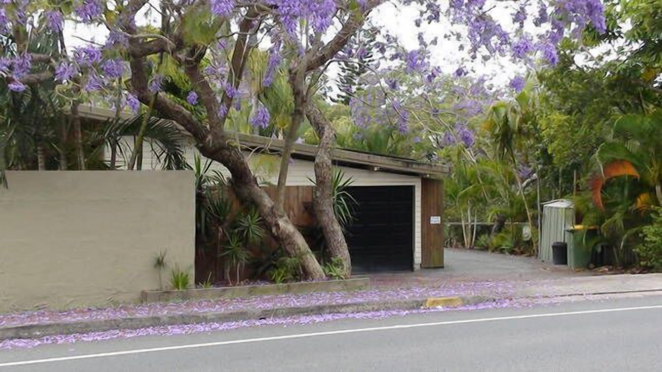pet friendly water front 1 x bed apartment — image 13