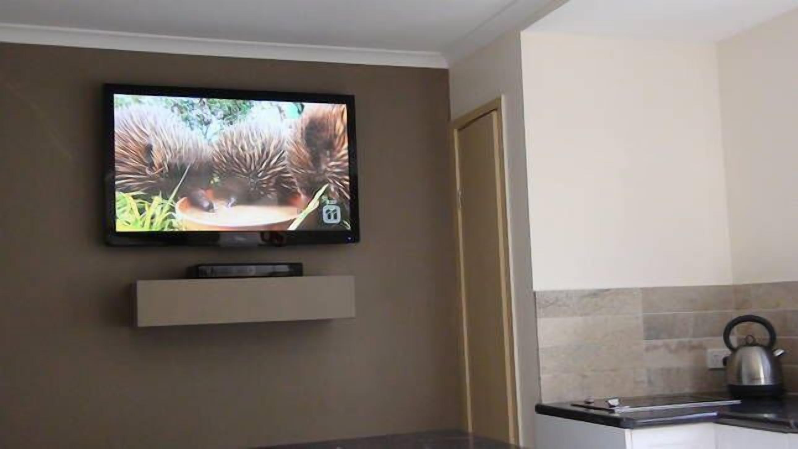 pet friendly water front 1 x bed apartment — image 8