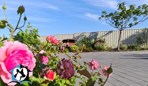 A garden with roses and a rusty car in the background. - A Beautiful  Property, Walking Distance to the Beach in Esperance WA! (West Beach)