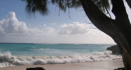 Tappins Insel-Eigentumswohnung in schönem Barbados