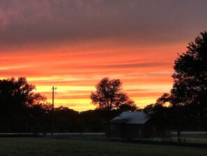 Botón de imagen sin clasificar, 3 de 39