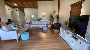 Smart TV, fireplace, video games, DVD player